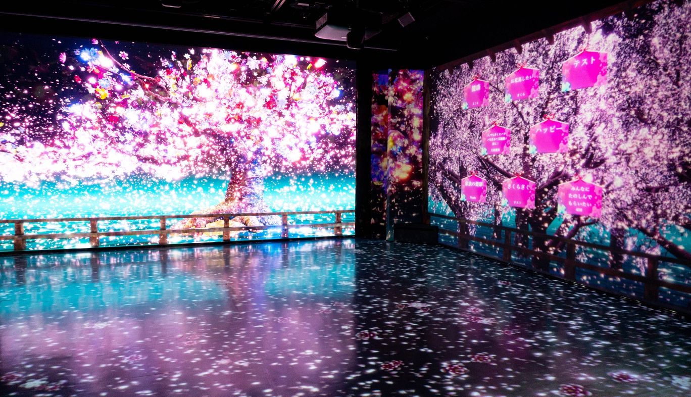 幻想的な世界に没入できるお花見体験！GINZA 456の「願いツナグサクラ